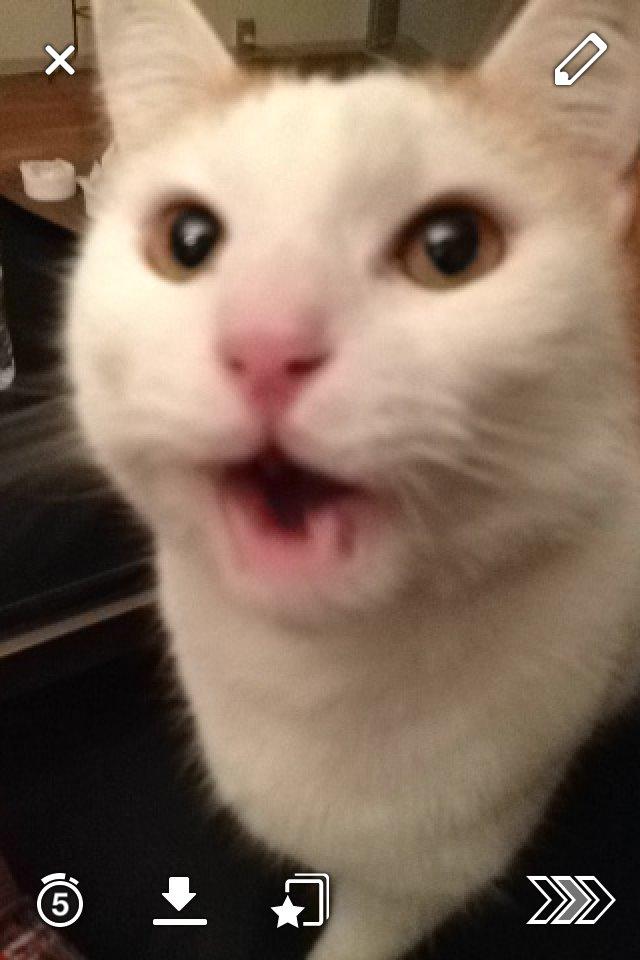 Huskat James billede 1