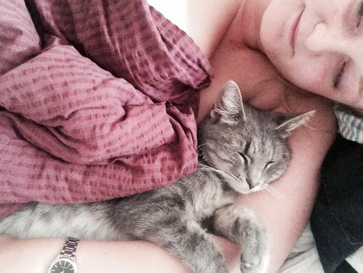 Huskat Guffe billede 6