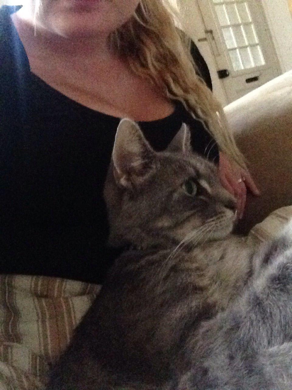 Huskat Guffe billede 9