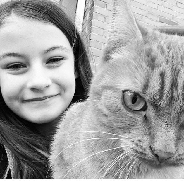 Huskat Stella ~Stelsen~ [Tidl. genudsætningskat] billede 2