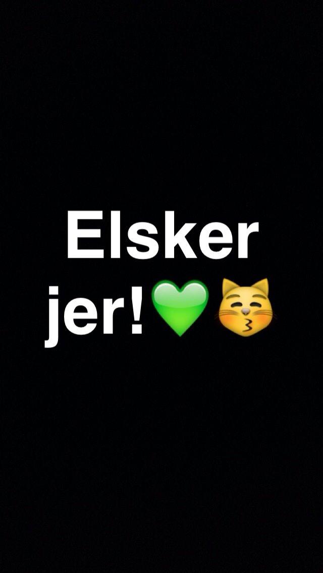 Huskat Stella ~Stelsen~ [Tidl. genudsætningskat] billede 7