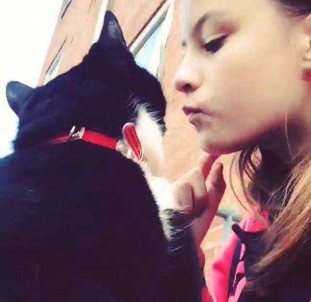 Huskat •Jasmino• [Tidl. Genudsætnings kat] billede 5