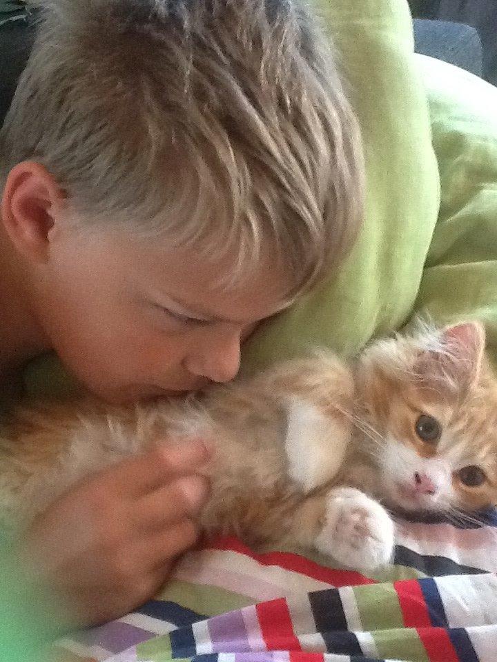 Blanding af racer Vanilje billede 7