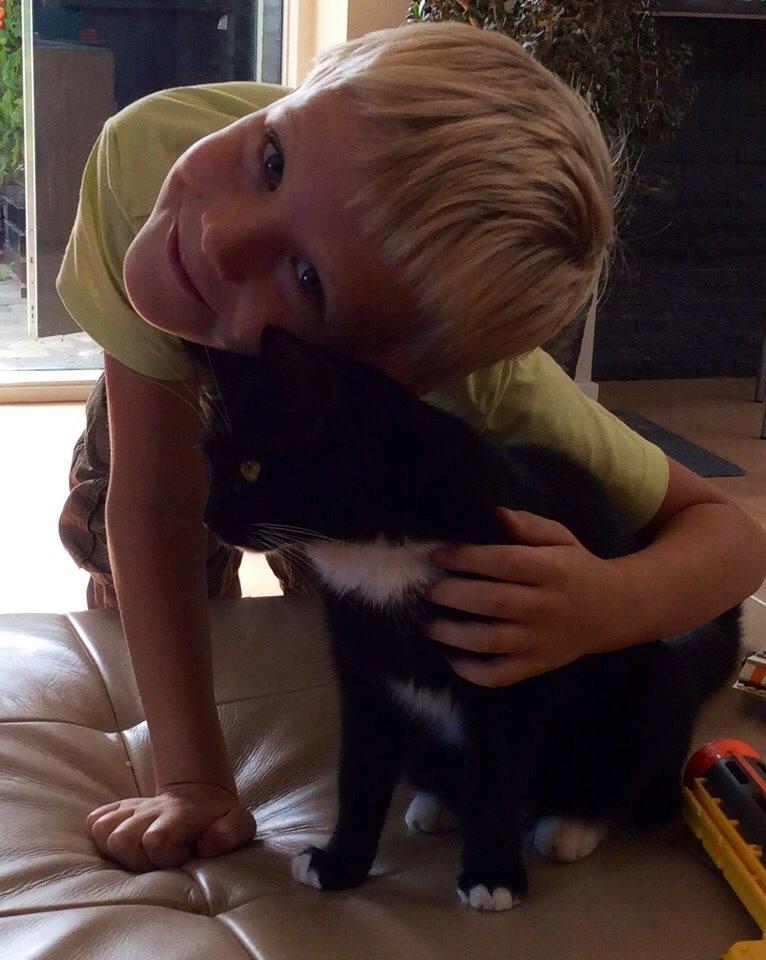 Blanding af racer Kattegårdens Dipsey aka. Snip R.I.P billede 12