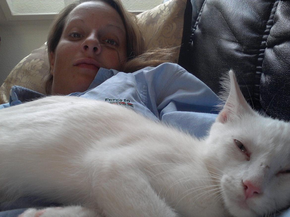 Huskat Nova billede 2