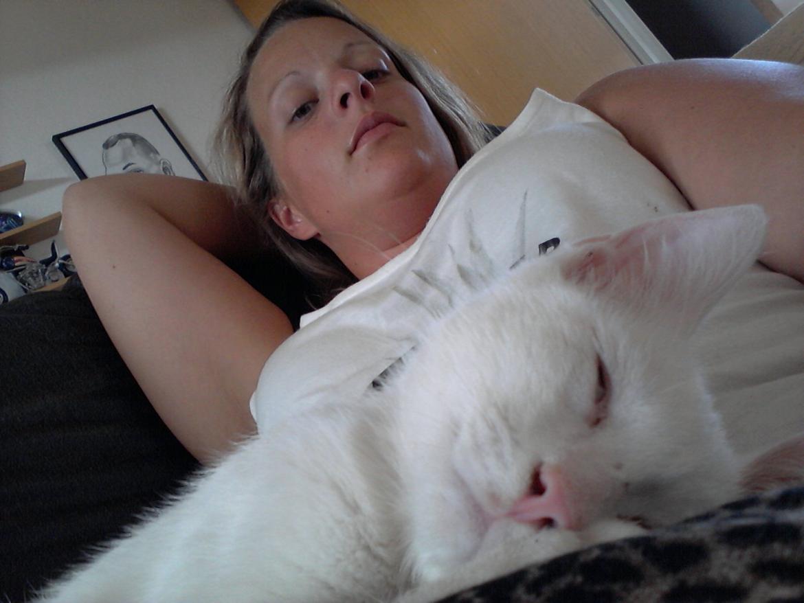 Huskat Nova billede 5