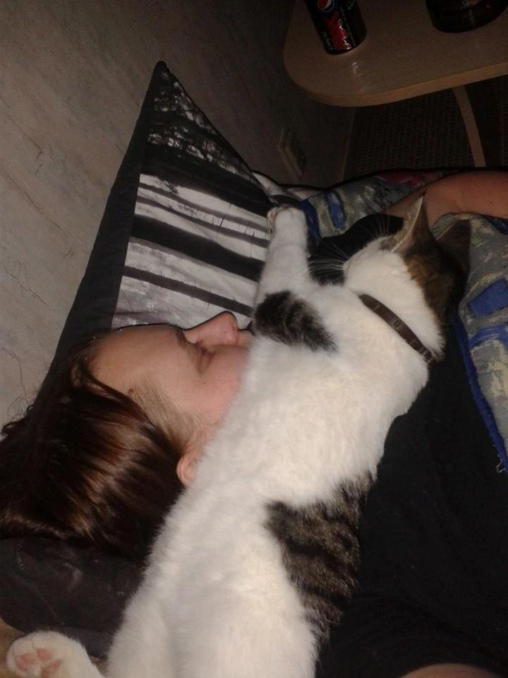 Blanding af racer Bamse billede 18