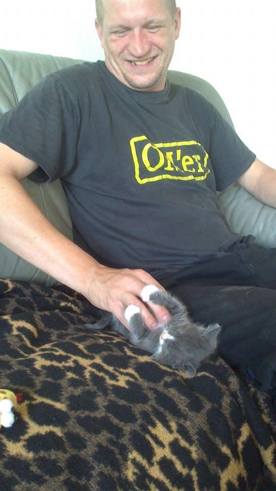 Blanding af racer Xena billede 2