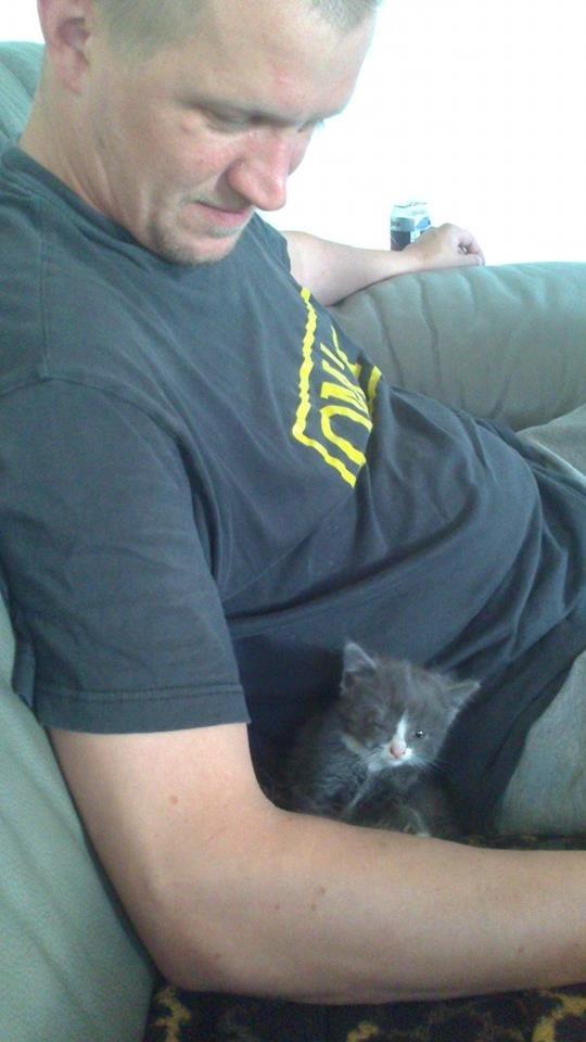 Blanding af racer Xena billede 6