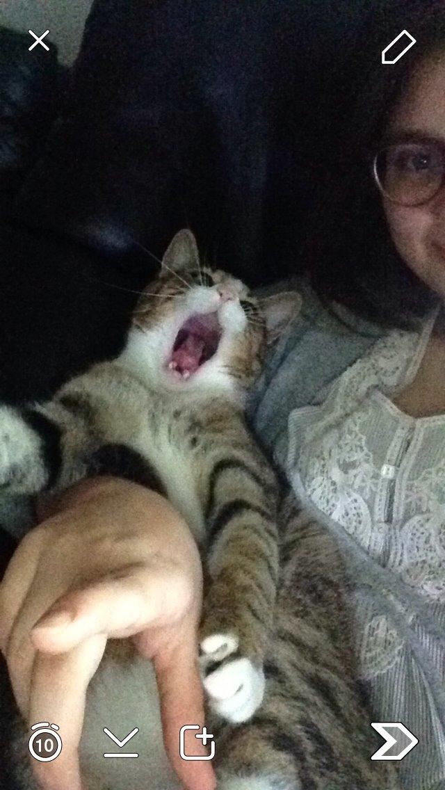 Blanding af racer Charlie billede 5