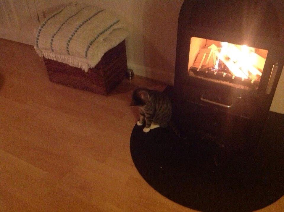 Huskat Soraja billede 2