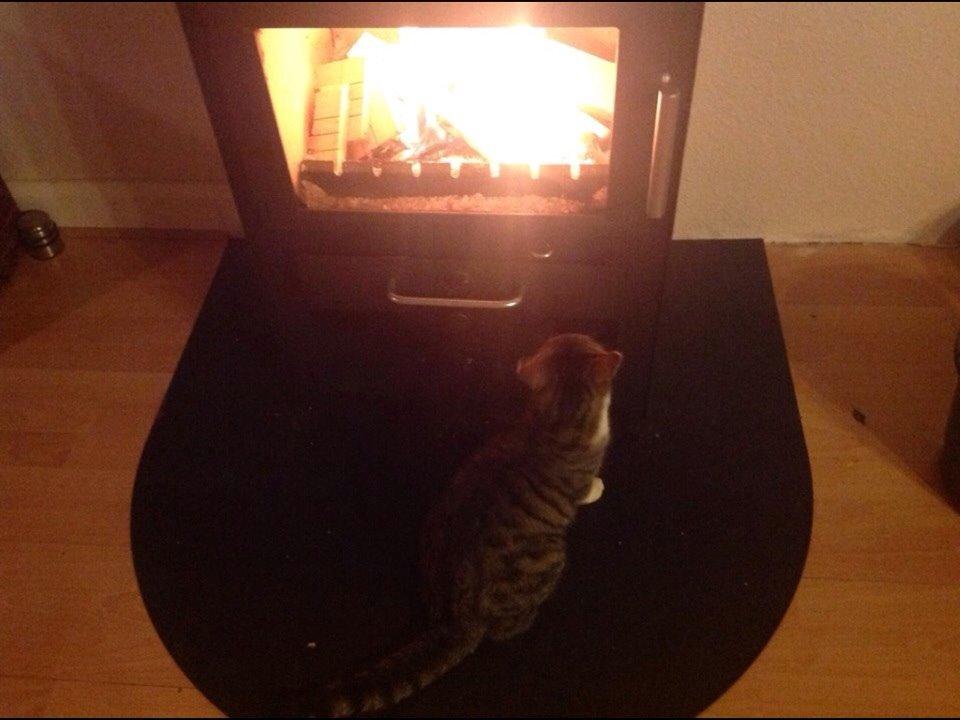 Huskat Soraja billede 1