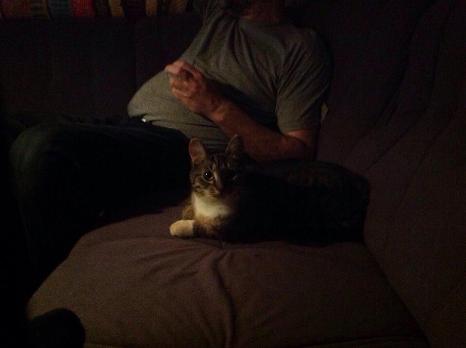 Huskat Soraja billede 4