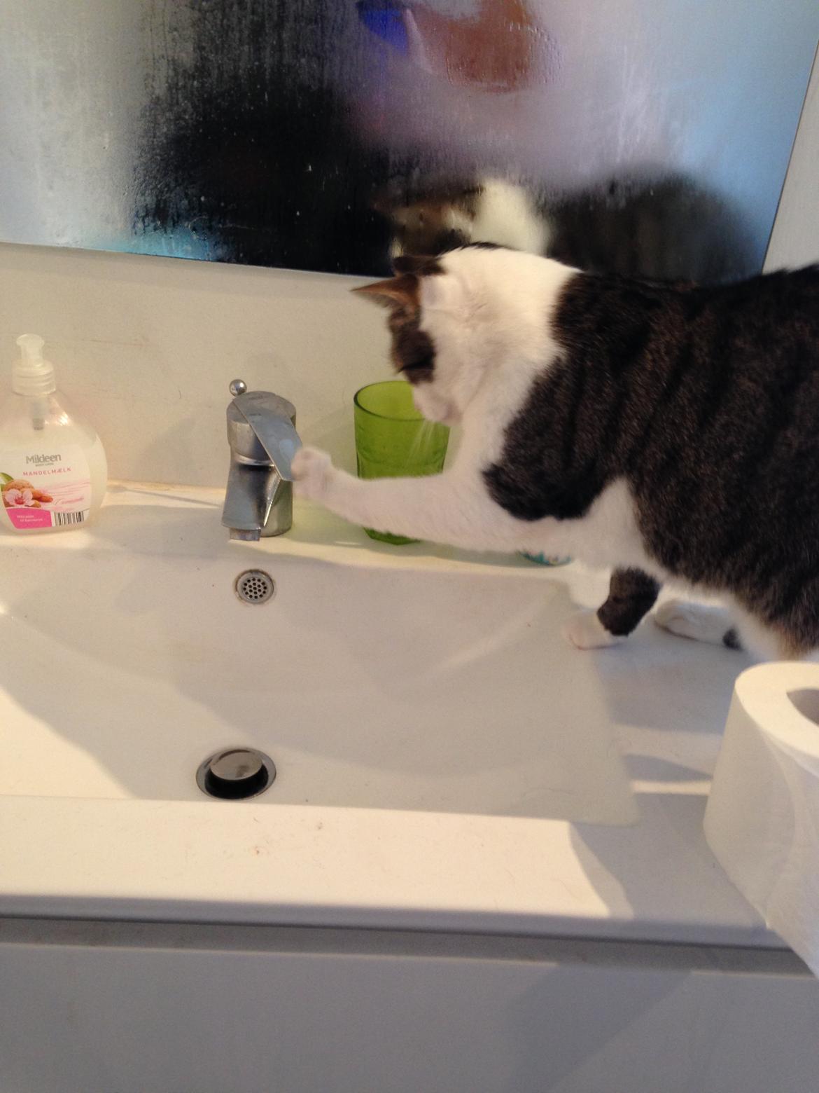 Huskat Topper billede 2