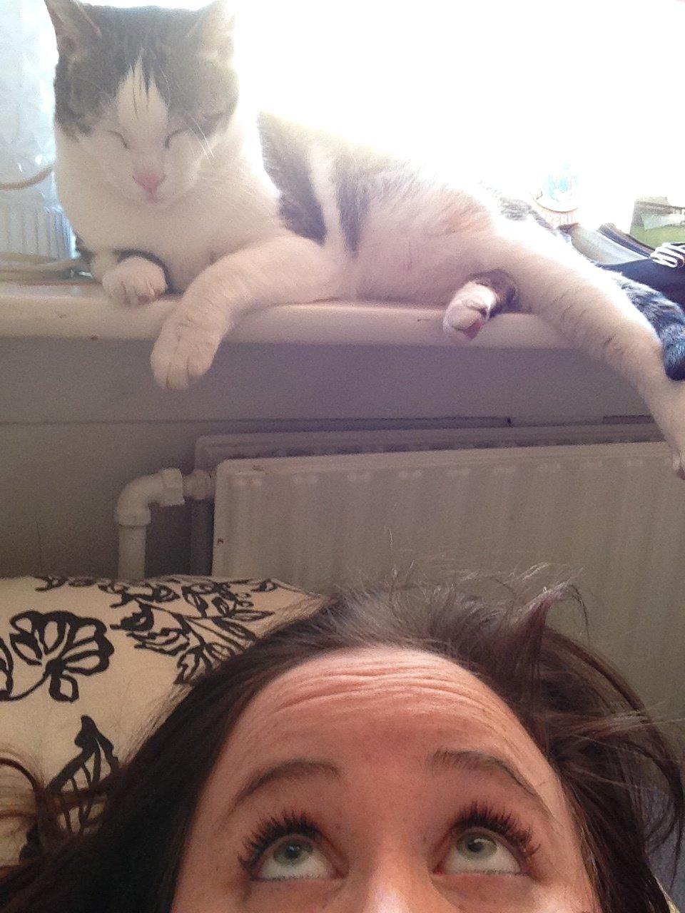 Huskat Topper billede 6