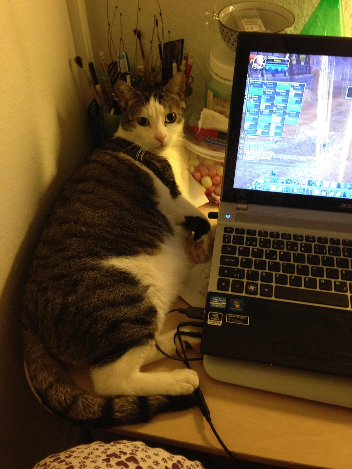 Huskat Topper billede 8