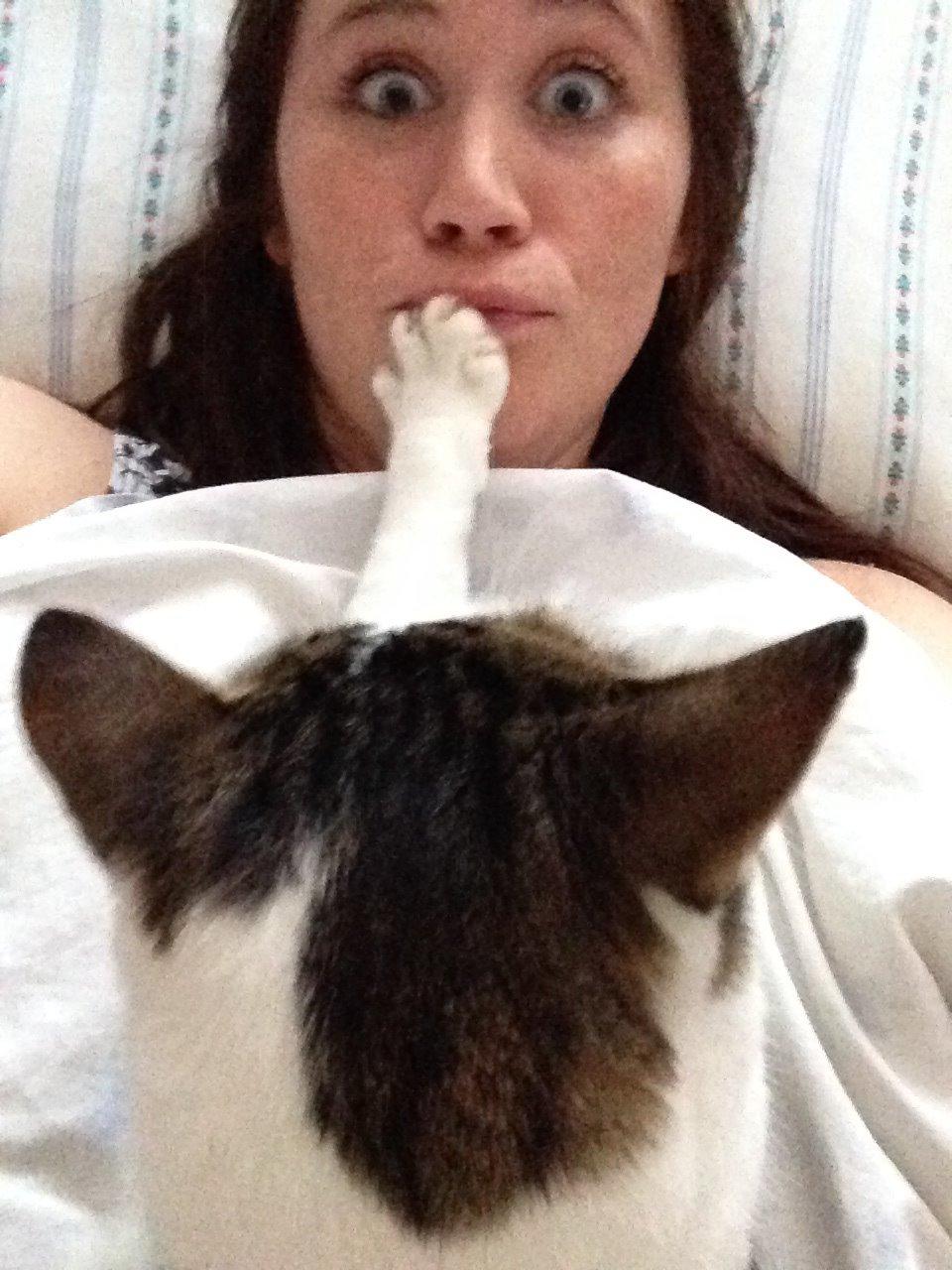 Huskat Topper billede 3