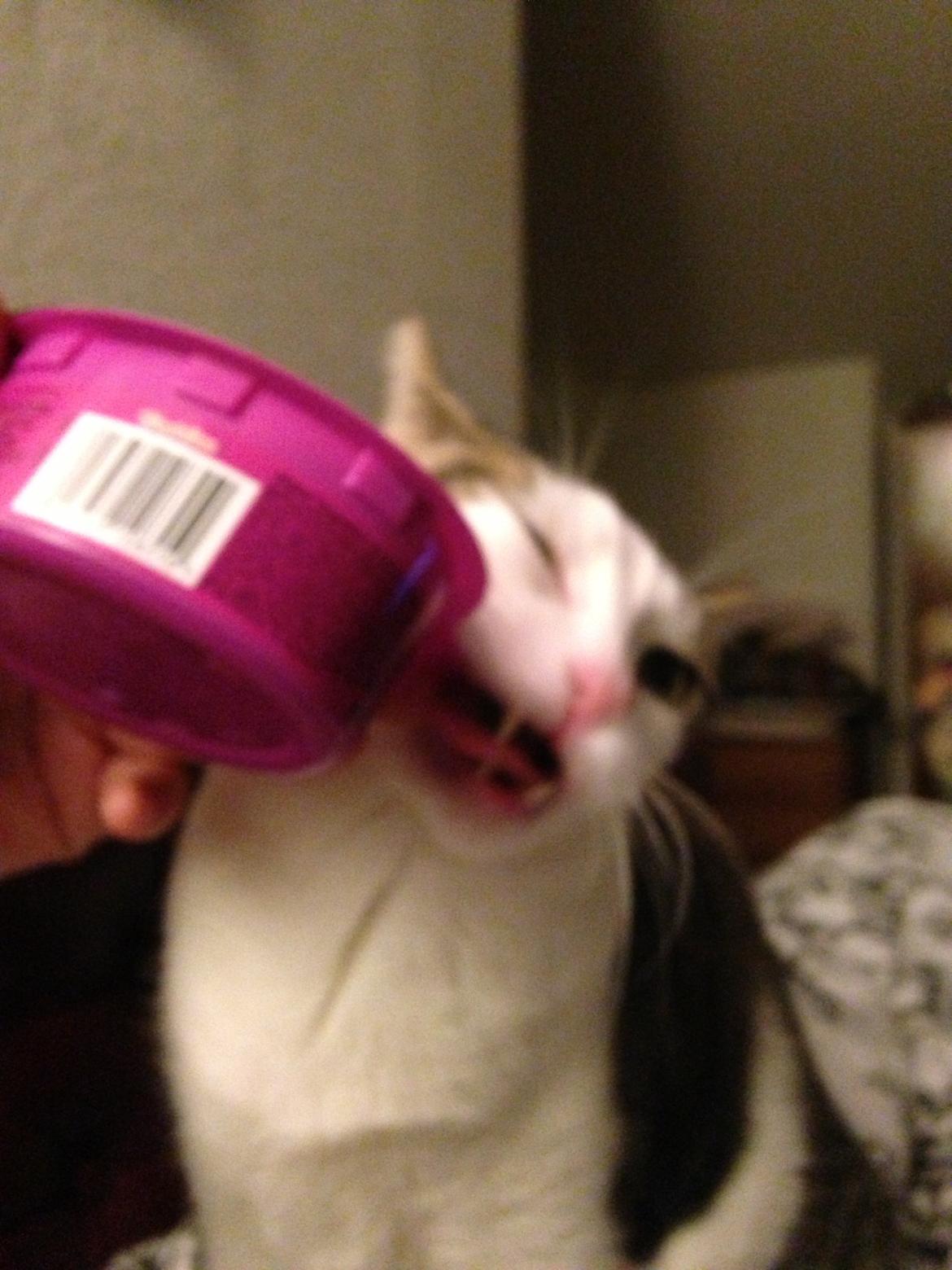 Huskat Topper billede 11