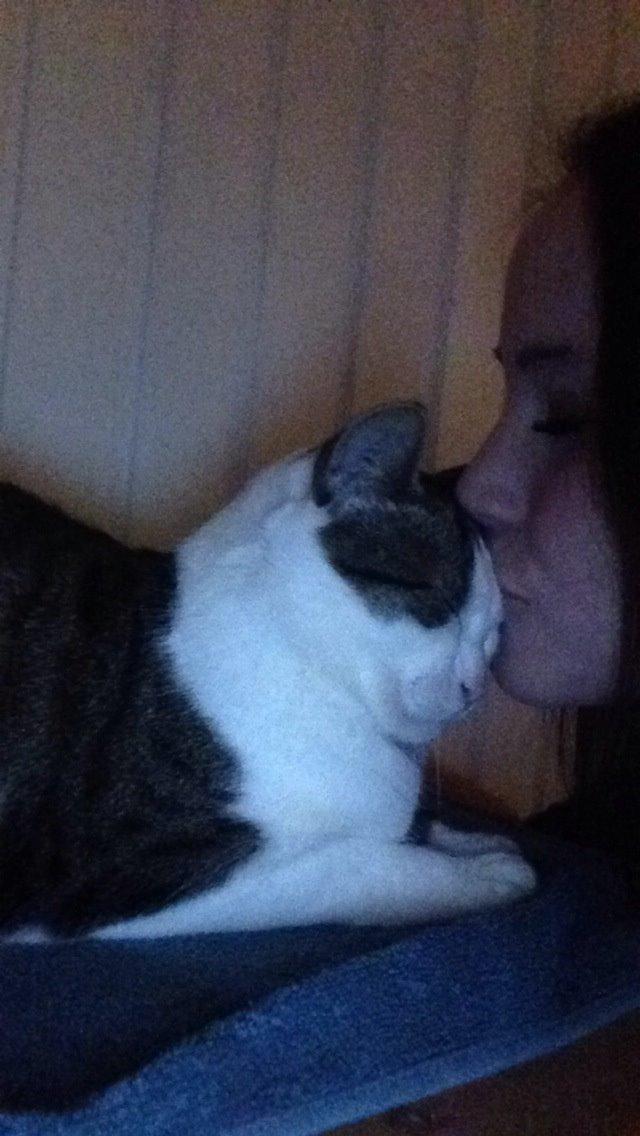 Huskat Topper billede 26