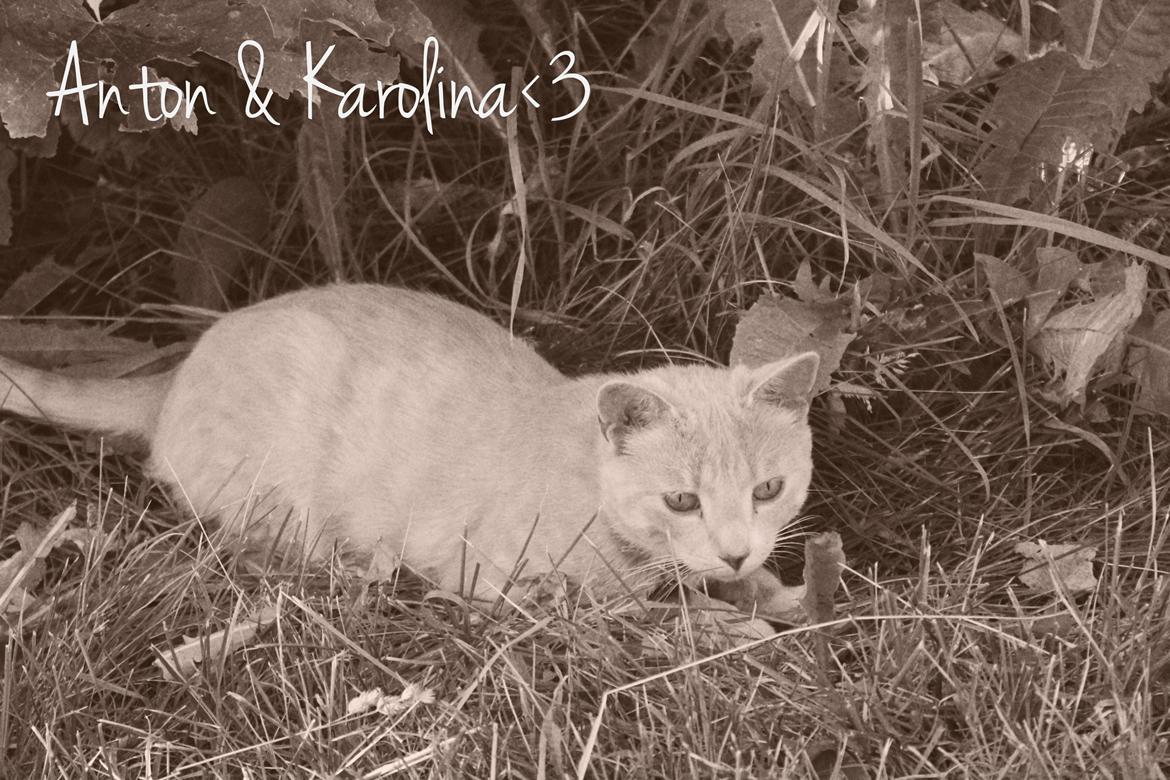 Huskat Anton..<3 - Tak for kigget <3 billede 15