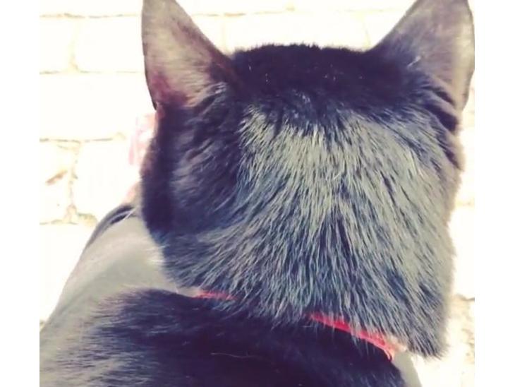 {{currentPhoto.altText}} billede {{currentPhoto.number}}