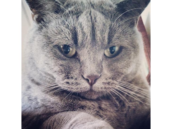 {{currentPhoto.altText}} billede {{currentPhoto.number}}