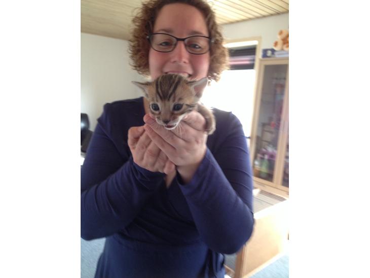 {{currentPhoto.altText}} billede {{currentPhoto.number}}