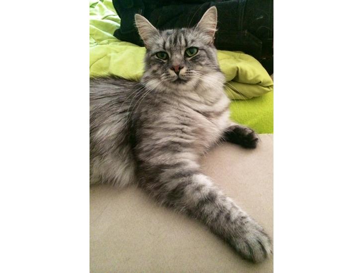 {{currentPhoto.altText}} billede {{currentPhoto.number}}