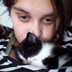 Blanding af racer Teemo