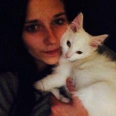 Maine Coon Ahri "Mitte"