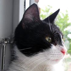 Huskat ~ Fiona † ** Sov sødt min elskede skat <3**