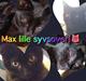 Huskat Max ;)