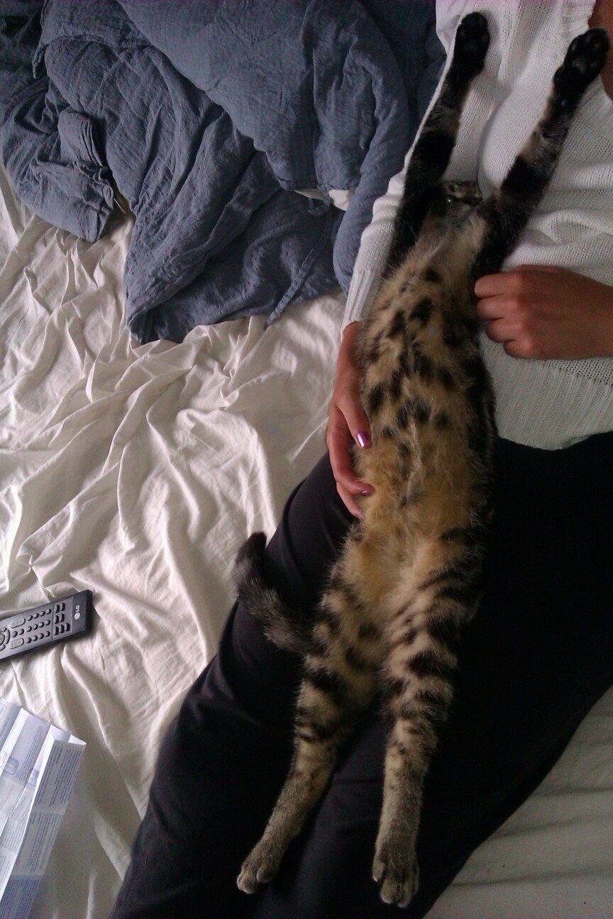 Huskat Ole billede 1