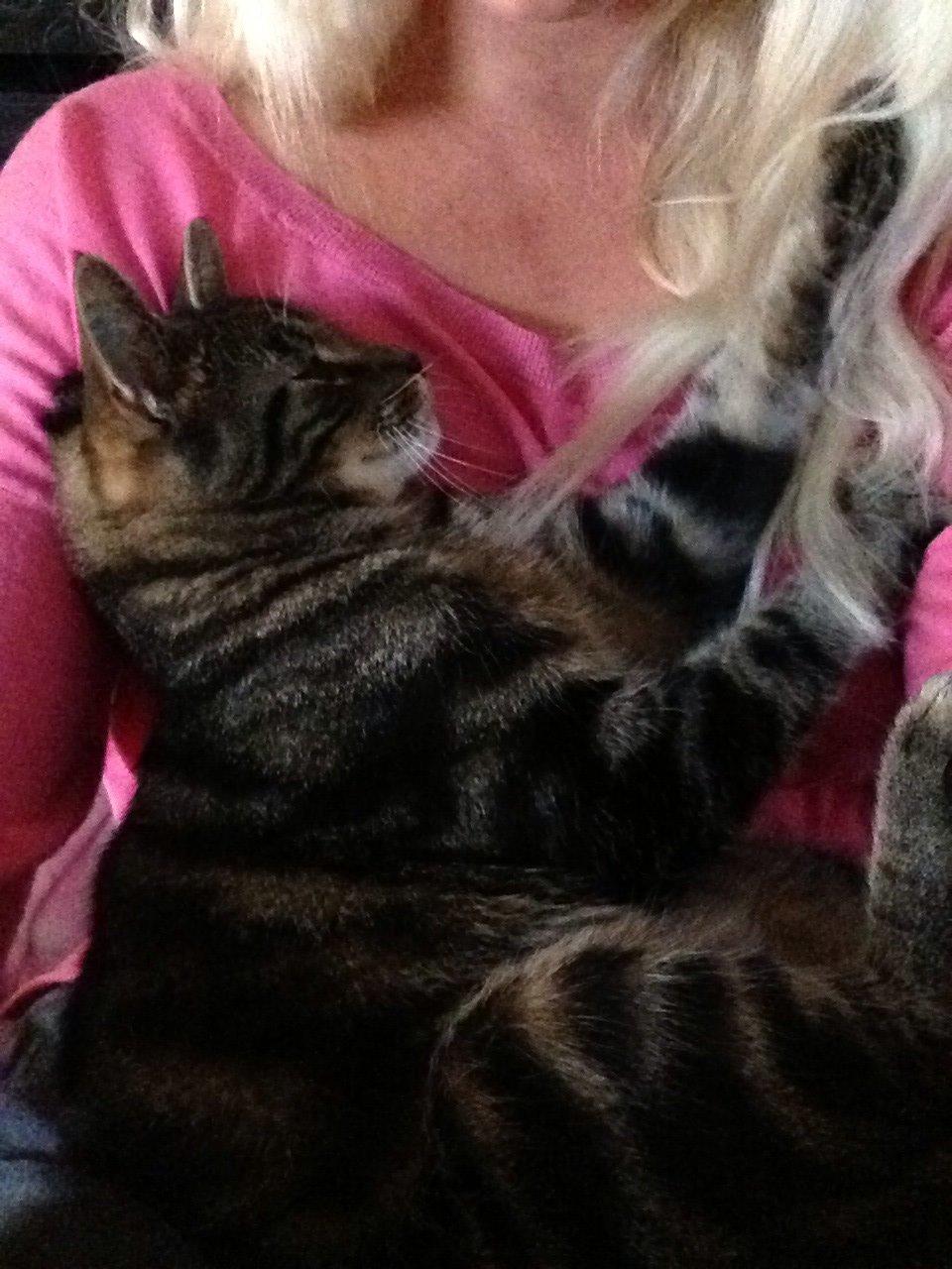 Huskat Ole billede 7