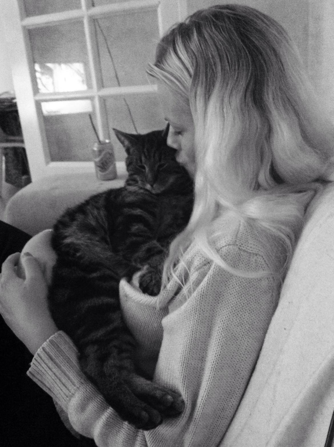 Huskat Ole billede 11