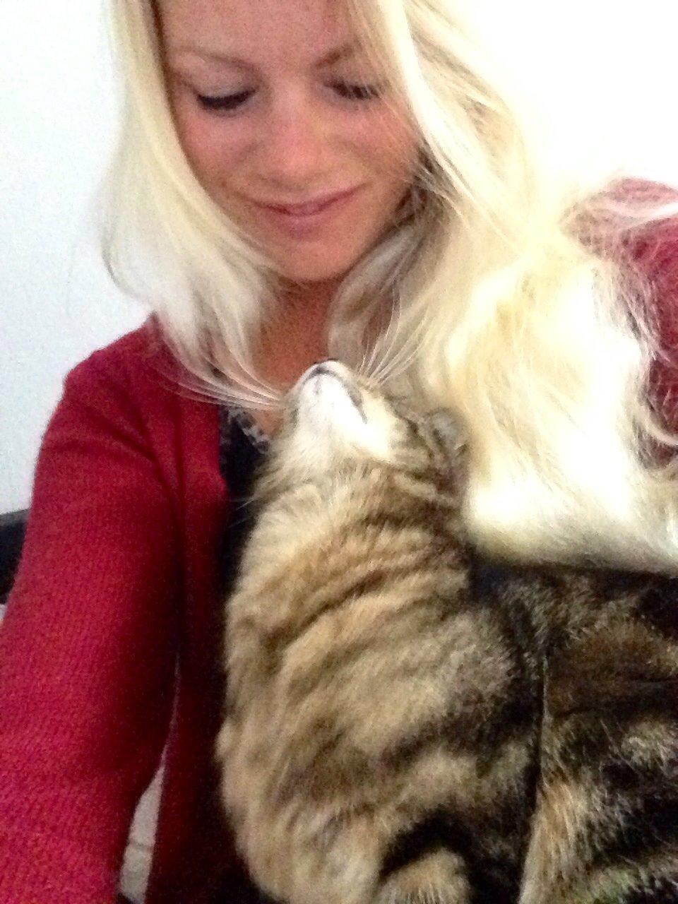 Huskat Ole billede 16