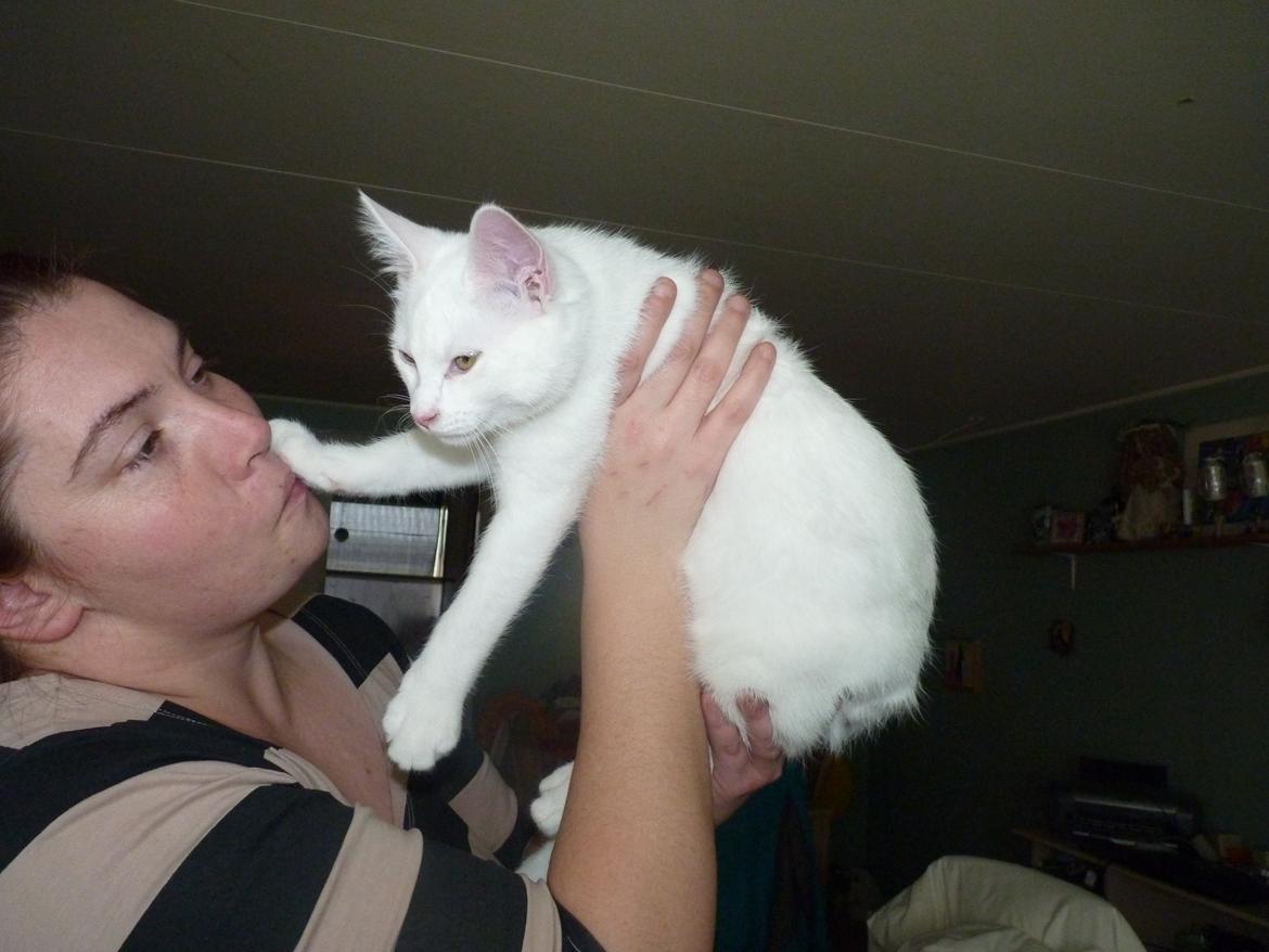 Blanding af racer Max billede 25