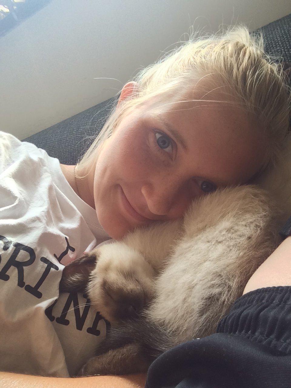 Siameser Cirkeline billede 4