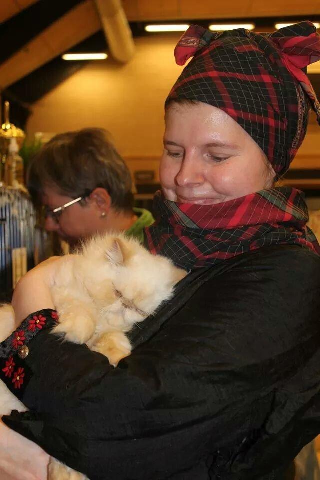 Perser Himmelkat Alexandra Von der Pudderkvast  billede 32