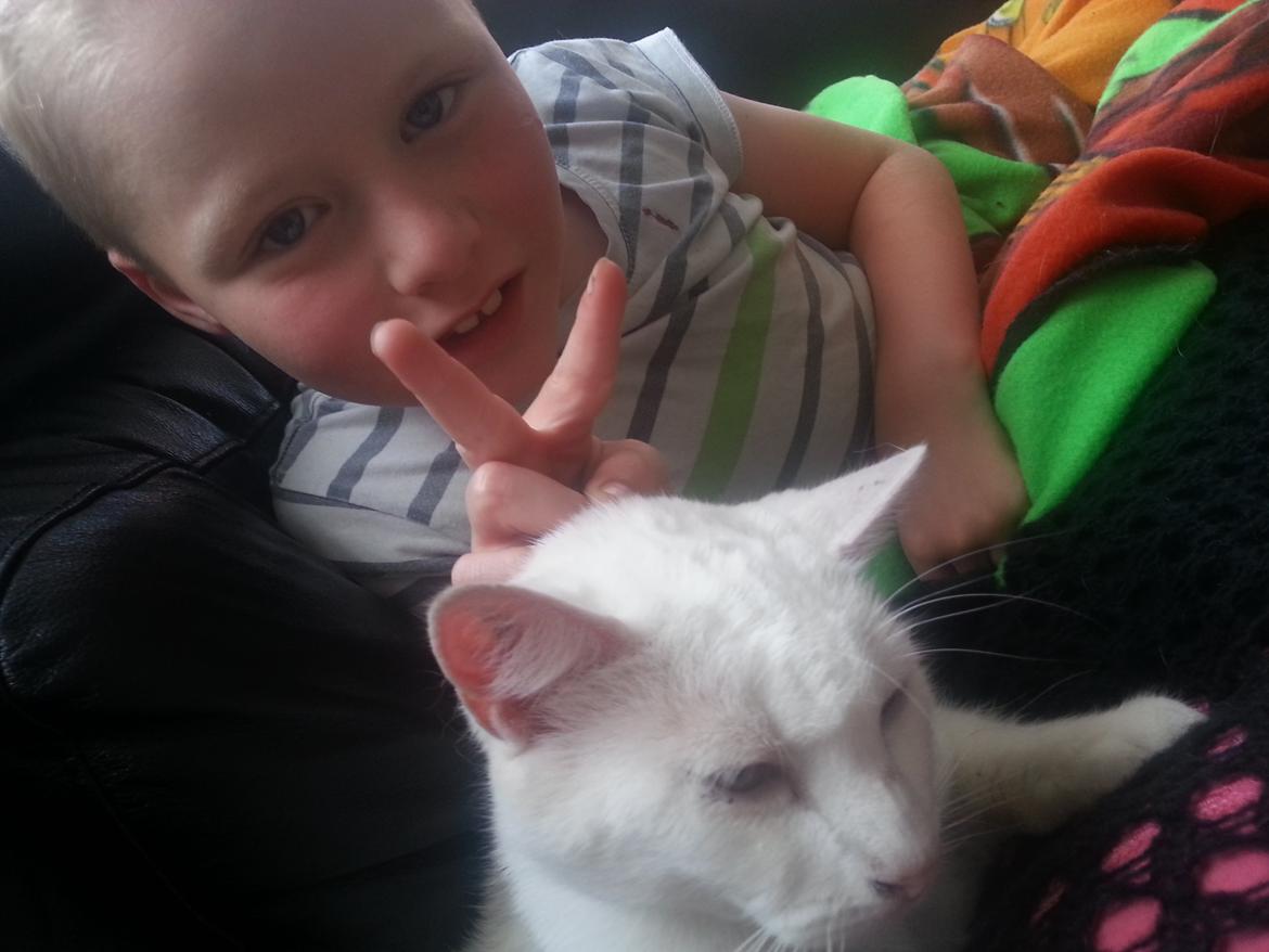 Huskat Milo billede 34