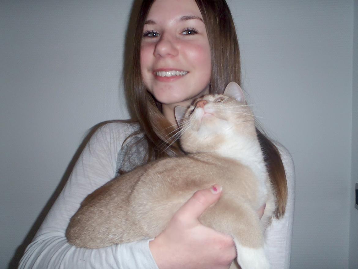 Huskat Simba - Mig og Simba billede 1