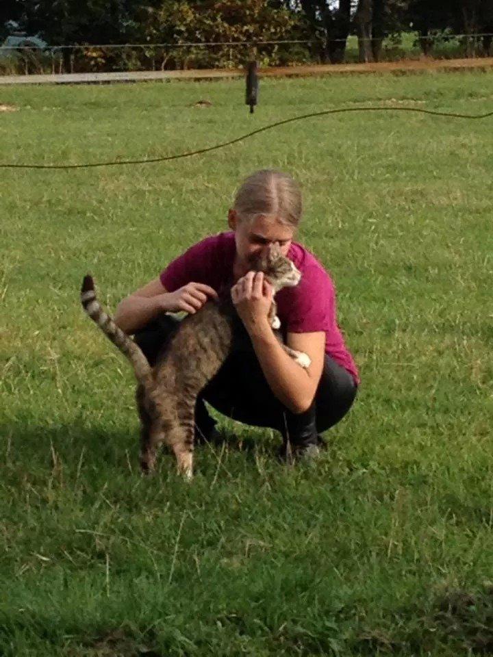 Huskat pus (mit et og alt) <3 - min lille skat billede 37