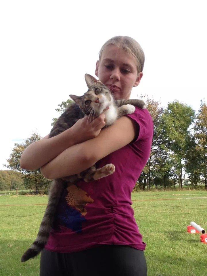 Huskat pus (mit et og alt) <3 - hendes øjne billede 38