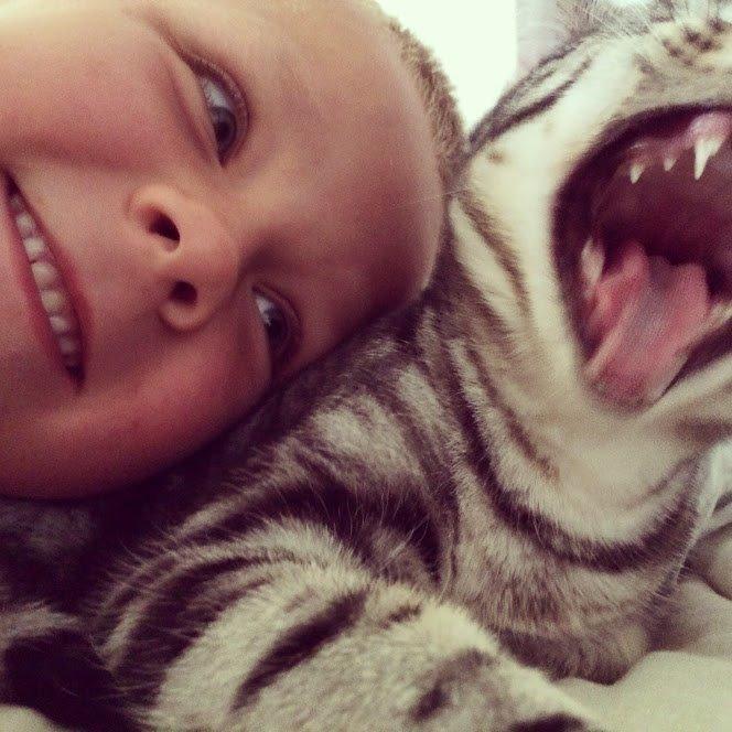 Europé Eife's Willem Einthoven billede 19