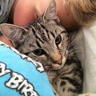 Europé Eife's Willem Einthoven billede 28