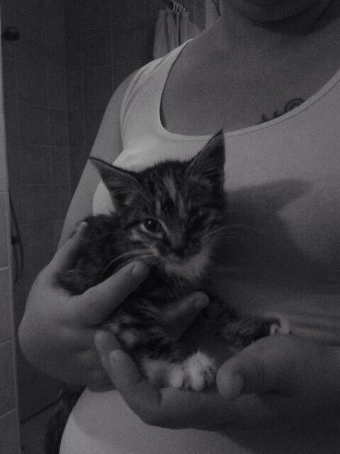 Huskat Hope billede 2