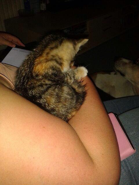 Huskat Hope billede 3