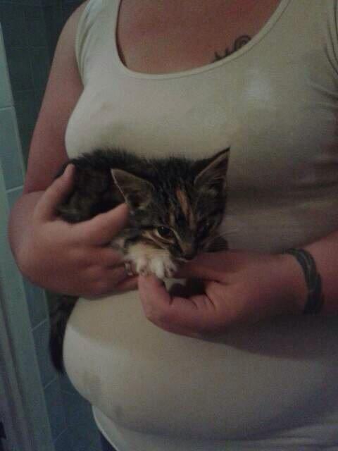 Huskat Hope billede 5