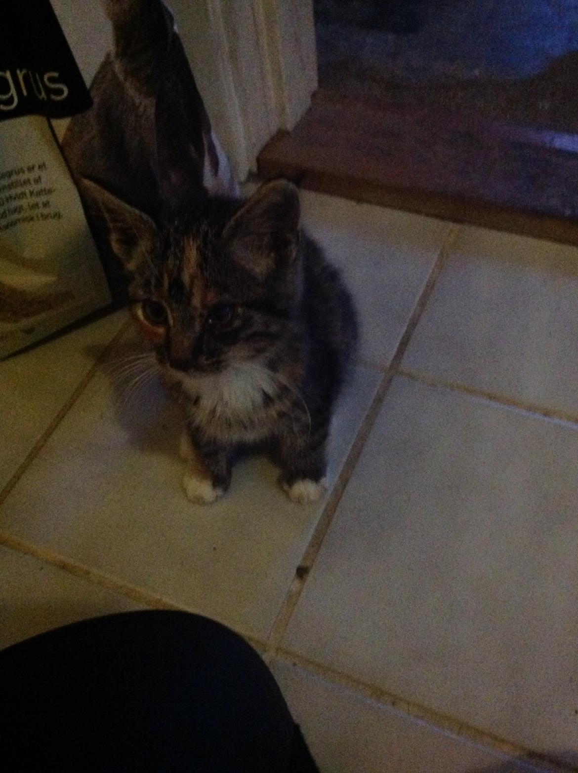 Huskat Hope billede 7