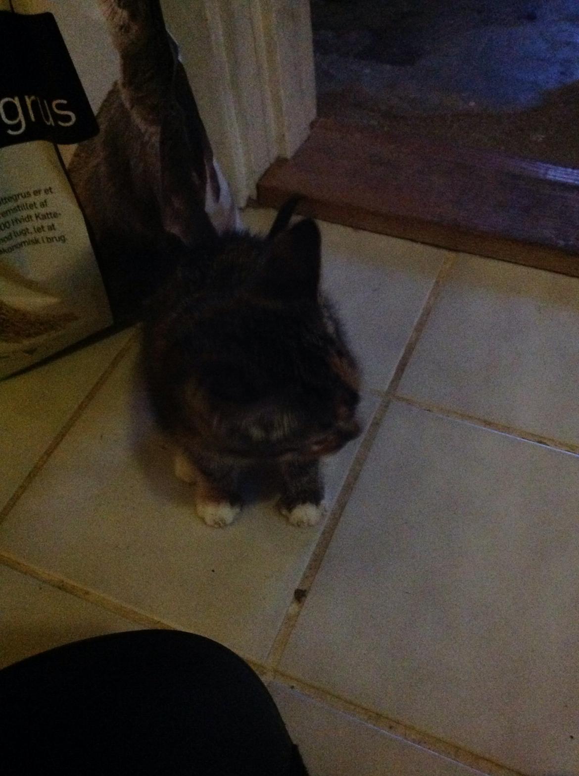 Huskat Hope billede 8